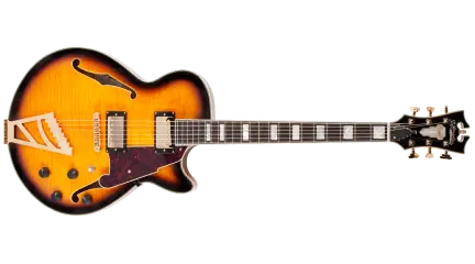 Single Cut Semi-Hollow Electric Guitar - Vintage Sunburst